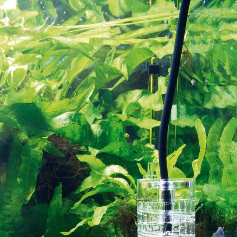 JBL (ДжиБиЭль) ProFlora T3 Clear - Шланг для аквариумных CO2-систем (3 м) в E-ZOO