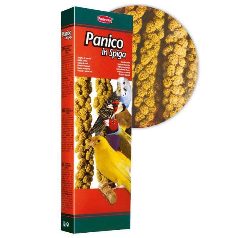 Padovan (Падован) Panico in spiga - Просо в гроздьях (100 г) в E-ZOO