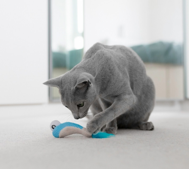 Petstages (Петстейджес) Dental Shrimpies – Игрушки для котов, в форме креветок (Комплект) в E-ZOO