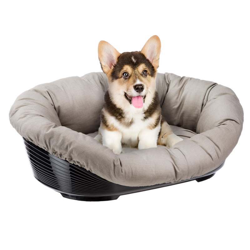 Ferplast (Ферпласт) Sofa - Пластиковый лежак с подушкой из х/б материла для котов и собак мелких пород (52х39х21 см) в E-ZOO