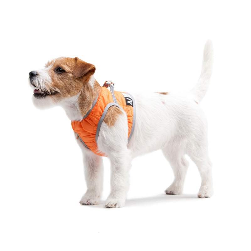 Collar (Коллар) AiryVest ONE - Шлея для собак дрібних порід (24-27/18-20 см) в E-ZOO