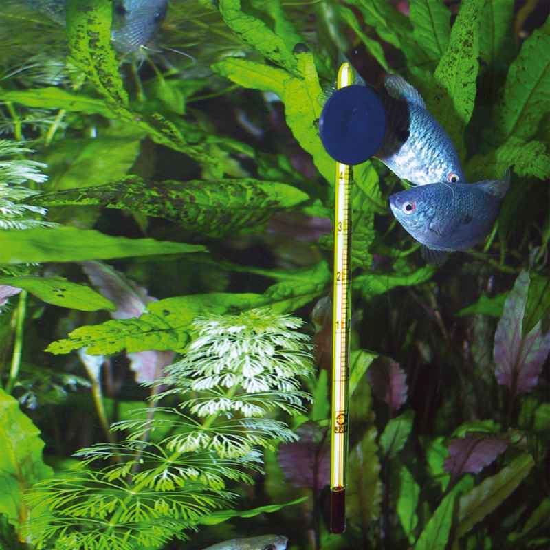 JBL (ДжіБіЕль) Aquarium Thermometer Slim - Тонкий скляний акваріумний термометр (15 см) в E-ZOO