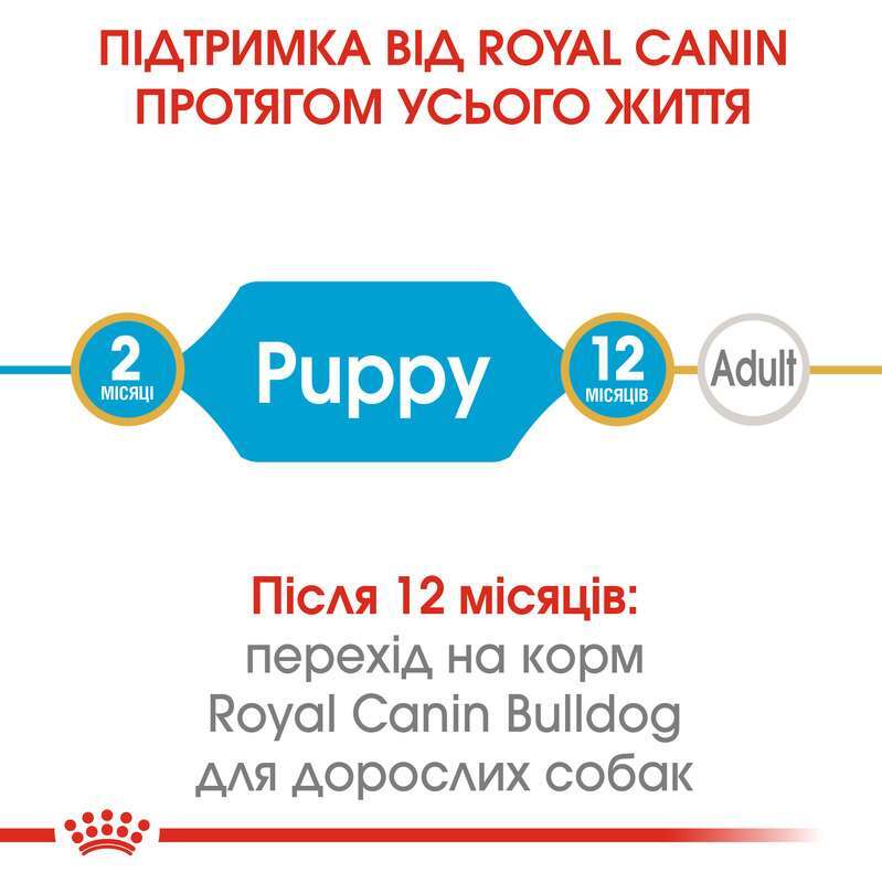 Royal Canin (Роял Канін) Bulldog Puppy - Сухий корм для цуценят бульдога (12 кг) в E-ZOO