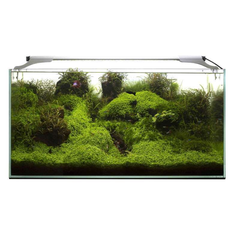 AquaEL (АкваЕль) Leddy Slim Plant - Світлодіодний світильник для акваріумів (10 W / 50-70 см) в E-ZOO