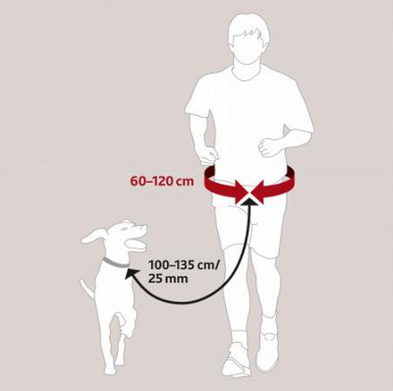 Trixie (Трикси) Waist Belt with Leash- Ремень поясной с поводком для собак (комплект) в E-ZOO
