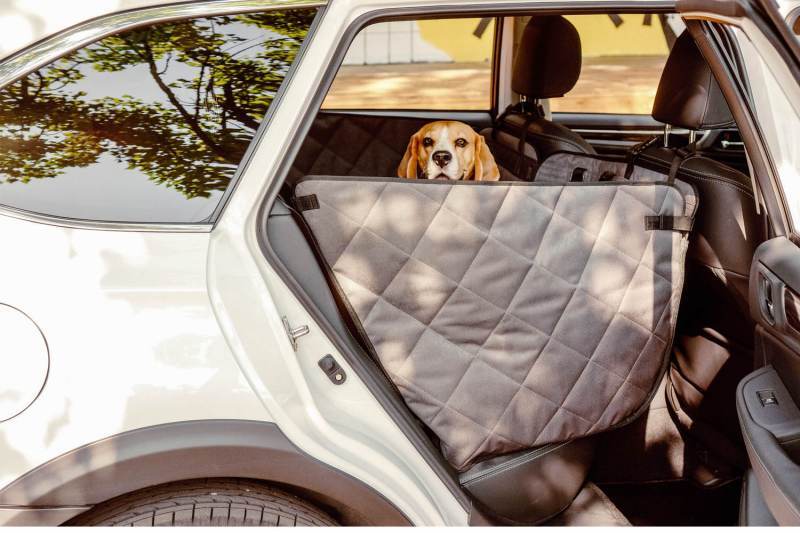 HARLEY & CHO (Харли энд Чо) Saver - Автогамак для собак в салон автомобиля (One size) в E-ZOO
