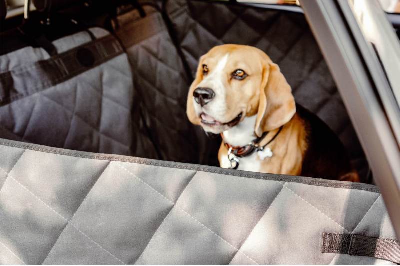 HARLEY & CHO (Харлі енд Чо) Saver - Автогамак для собак в салон автомобіля (One size) в E-ZOO