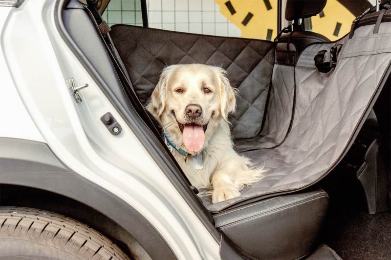 HARLEY & CHO (Харлі енд Чо) Saver - Автогамак для собак в салон автомобіля (One size) в E-ZOO