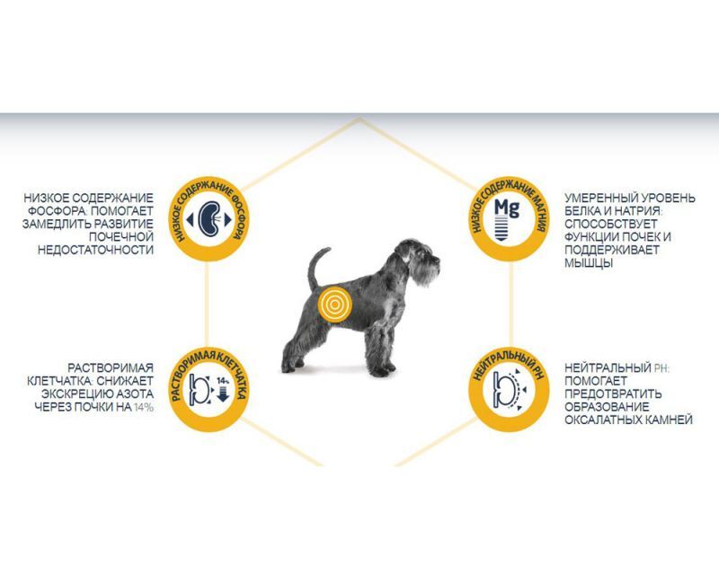 Advance (Эдванс) Dog Renal Med/Maxi Lamb & Rice - Сухой корм с ягненком и рисом для взрослых собак при патологии почек (12 кг) в E-ZOO