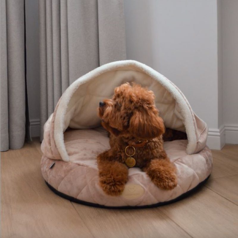 HARLEY & CHO (Харли энд Чо) Cover Plush – Лежак-норка для собак и котов (50 см) в E-ZOO