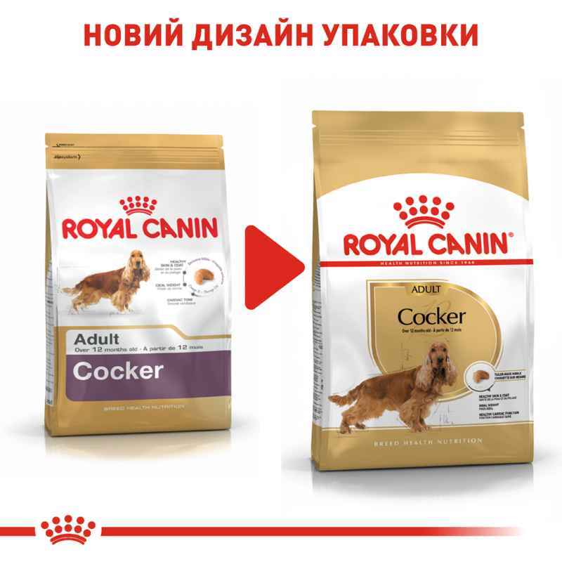 Royal Canin (Роял Канин) Cocker Adult - Сухой корм для Кокер спаниелей (3 кг) в E-ZOO