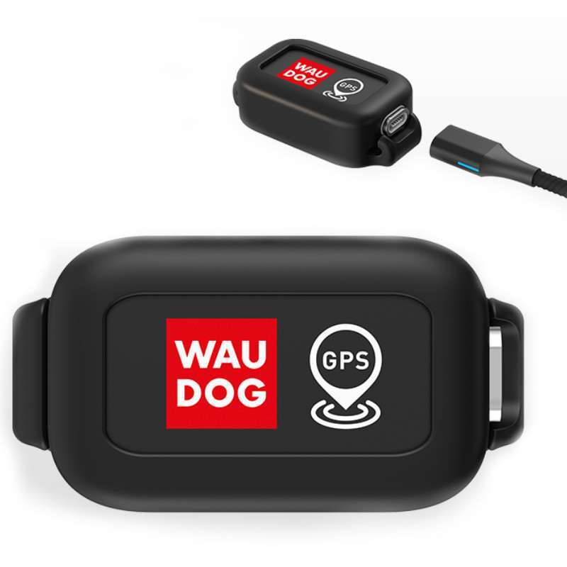 Collar (Коллар) WAUDOG Device - GPS-трекер для тварин (Комплект) в E-ZOO