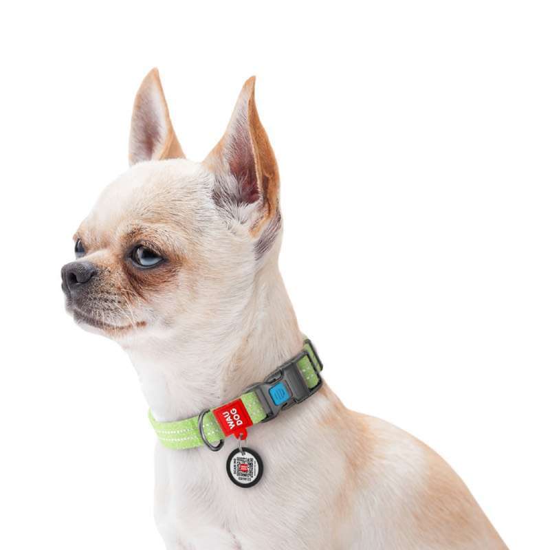 Collar (Коллар) WAUDOG Re-cotton - Ошейник светоотражающий для собак из восстановленного хлопка (1,5х23-35 см) в E-ZOO