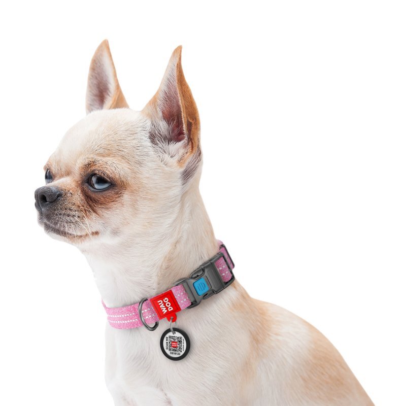 Collar (Коллар) WAUDOG Re-cotton - Нашийник світло-відбиваючий для собак з відновленої бавовни (1,5х23-35 см) в E-ZOO