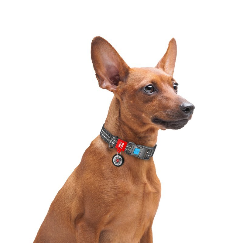Collar (Коллар) WAUDOG Re-cotton - Нашийник світло-відбиваючий для собак з відновленої бавовни (1,5х23-35 см) в E-ZOO