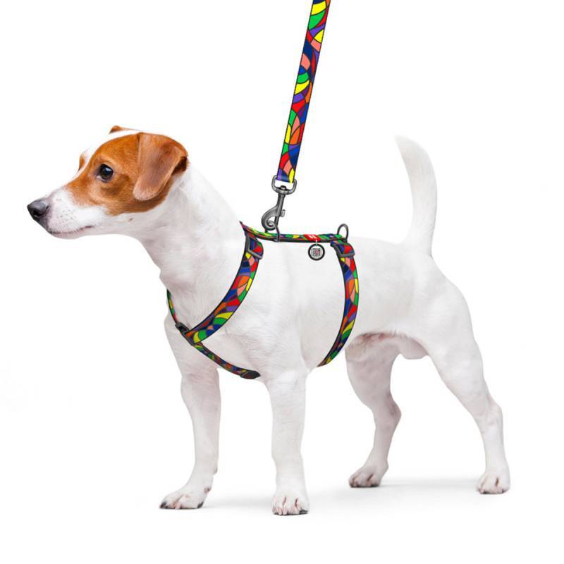 Collar (Коллар) WAUDOG Nylon - Анатомическая H-образная шлея для собак c рисунком "Витраж" и QR паспортом (L/50-90х60-100 см) в E-ZOO
