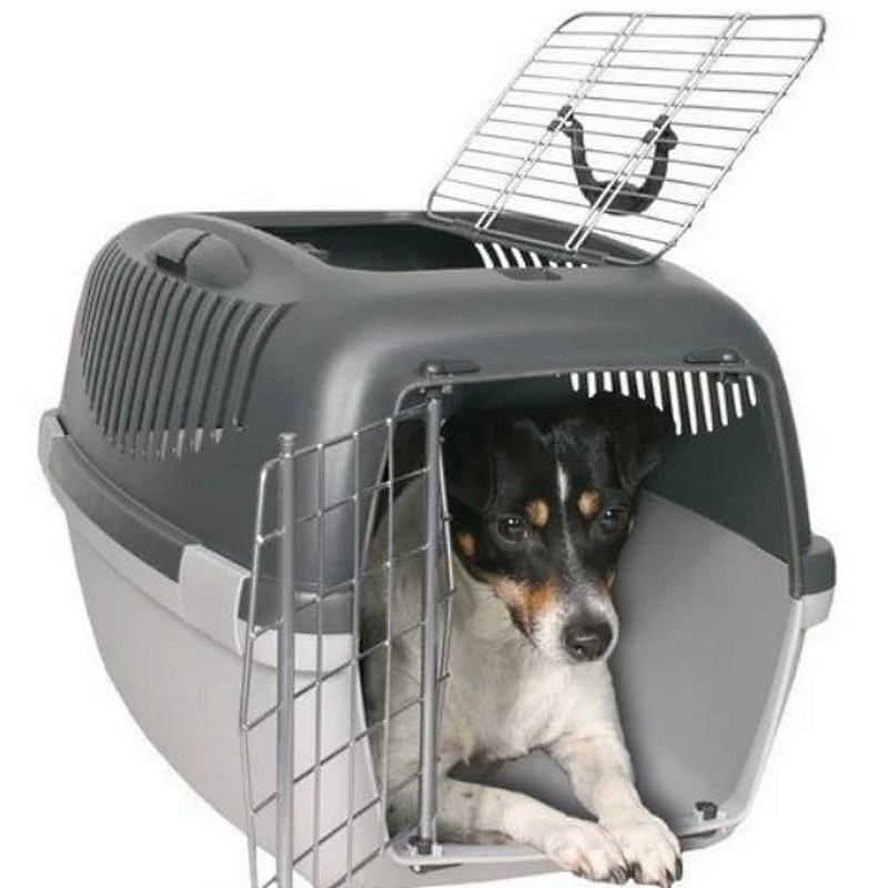 Trixie (Трикси) Capri 3 Open Top Transport Box – Переноска для котов и собак весом до 12 кг с металлической дверцей (40х38х61 см) в E-ZOO