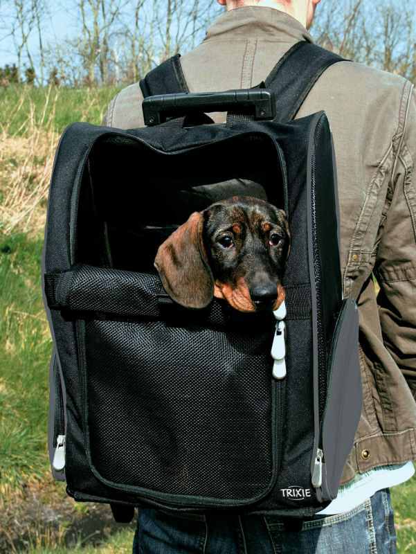 Trixie (Трикси) Tbag Trolley – Сумка-рюкзак для собак, кошек и других мелких животных весом до 6 кг (32х25х45 см) в E-ZOO