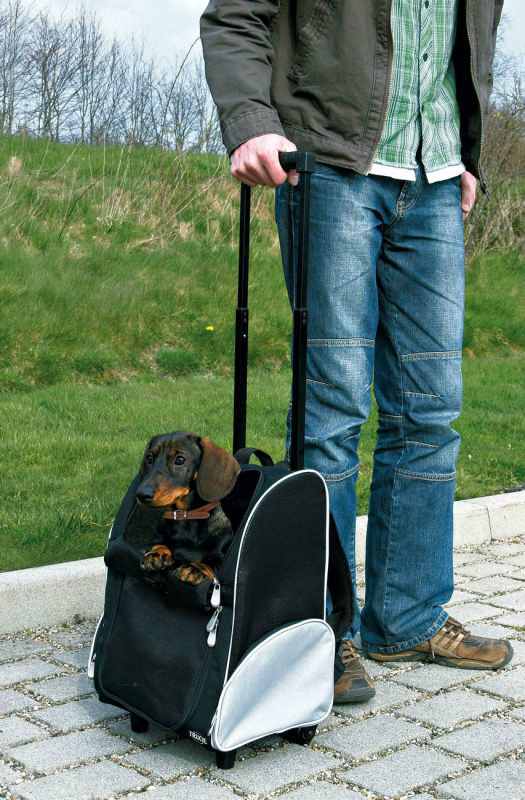 Trixie (Трикси) Tbag Trolley – Сумка-рюкзак для собак, кошек и других мелких животных весом до 6 кг (32х25х45 см) в E-ZOO