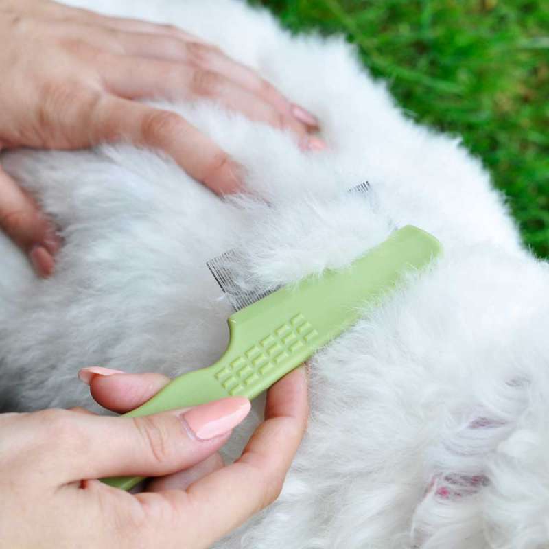 Safari (Сафари) Dog Flea Comb - Расческа для вычесывания блох у собак в E-ZOO