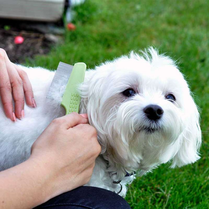Safari (Сафари) Dog Flea Comb - Расческа для вычесывания блох у собак в E-ZOO