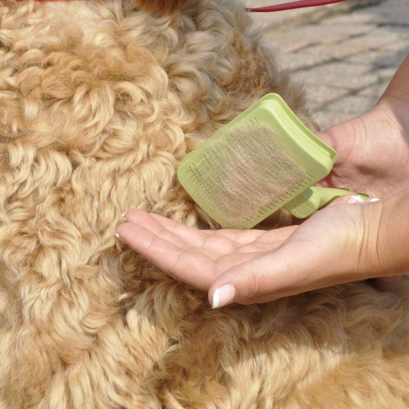 Safari (Сафари) Self-Cleaning Slicker Brush - Пуходерка-сликер с самоочисткой для всех типов шерсти собак и котов в E-ZOO