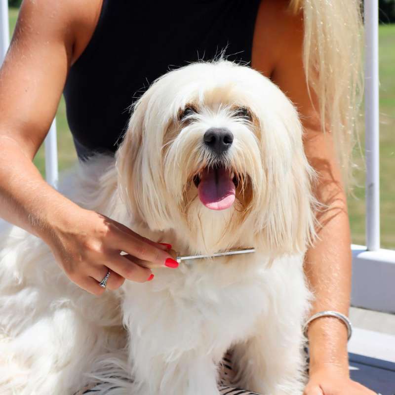 Safari (Сафарі) Shedding Long Hair Dog - Гребінець для довгої шерсті собак з зубцями різної висоти в E-ZOO