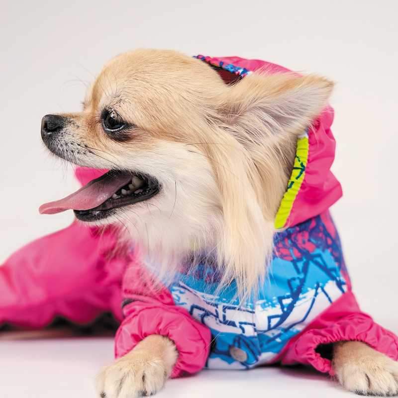 Pet Fashion (Пет Фешн) The Mood Juicy - Дождевик для девочки (розовый) (M (33-36 см)) в E-ZOO