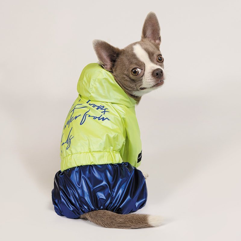 Pet Fashion (Пет Фешн) The Mood Pulse - Дождевик для собак (зеленый/синий) (XS (23-26 см)) в E-ZOO