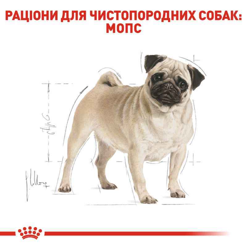 Royal Canin (Роял Канин) Pug Adult - Сухой корм для взрослых Мопсов (3 кг) в E-ZOO