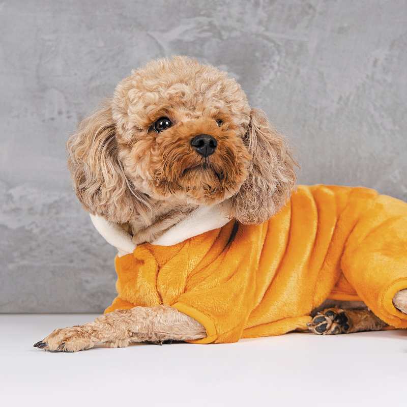 Pet Fashion (Пет Фешн) The Mood Alf - Костюм для собак (гірчичний) (M (33-36 см)) в E-ZOO