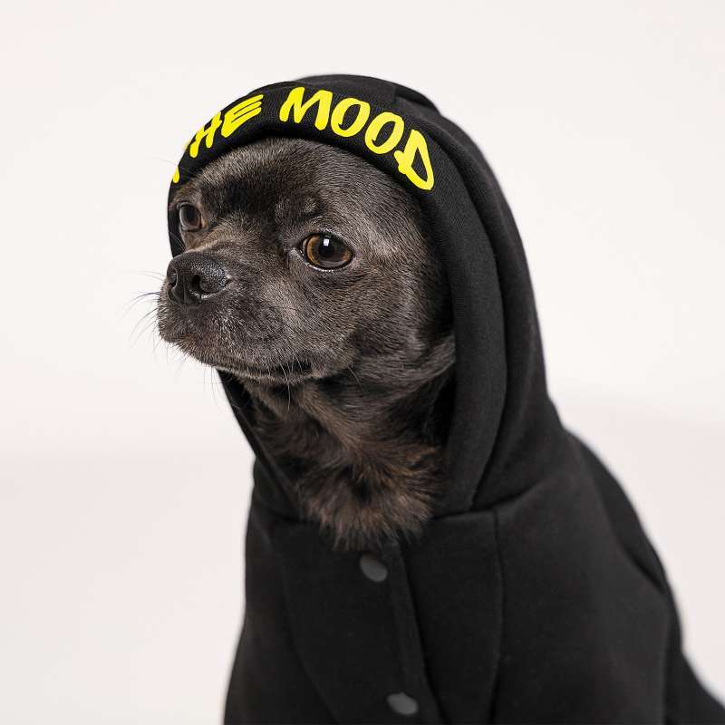 Pet Fashion (Пет Фешн) The Mood Flash - Костюм для собак (чорний) (XS (23-26 см)) в E-ZOO