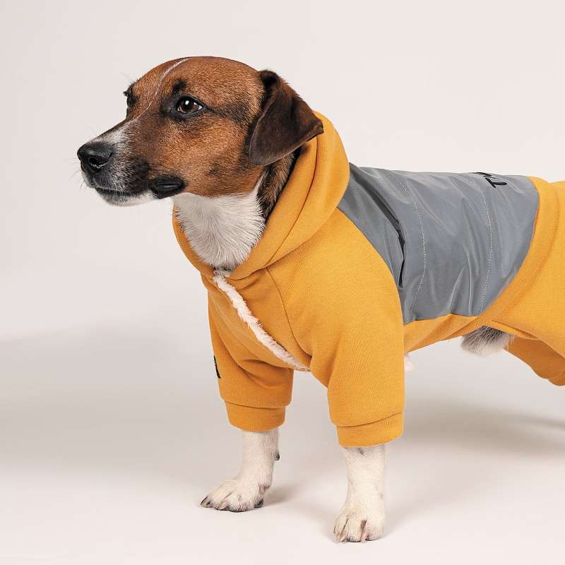 Pet Fashion (Пет Фешн) The Mood Leaf - Костюм для собак (помаранчевий) (XS-2 (26-28 см)) в E-ZOO