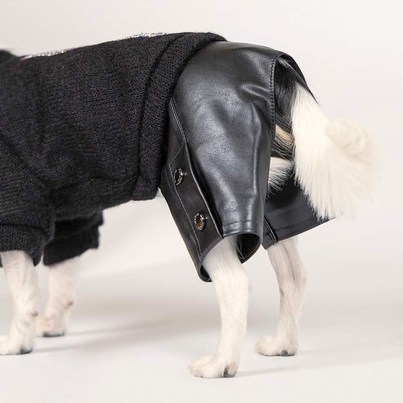 Pet Fashion (Пет Фешн) The Mood Vogue - Костюм для собак (черный) (XS-2 (26-28 см)) в E-ZOO