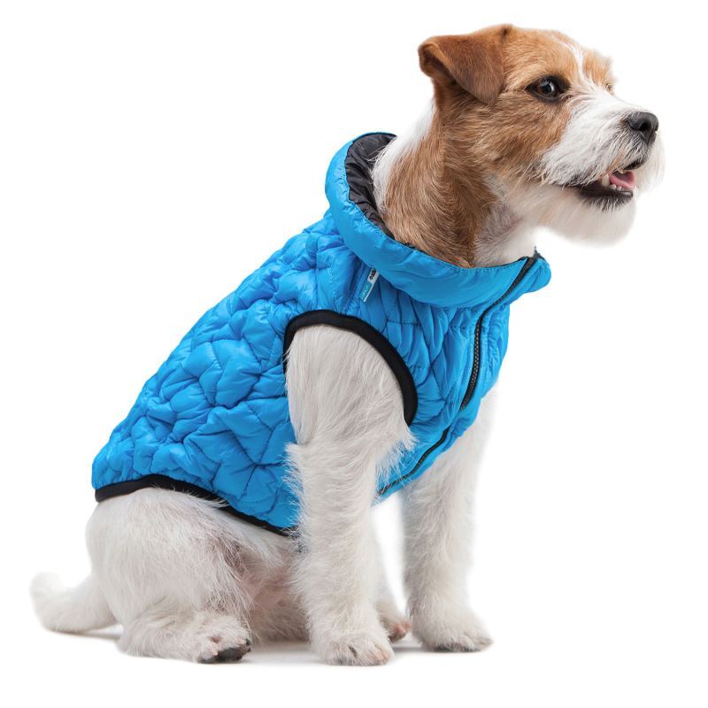 Collar (Коллар) AiryVest UNI - Двусторонняя эластичная курточка для собак (голубая/черная) (L55 (52 55 см)) в E-ZOO