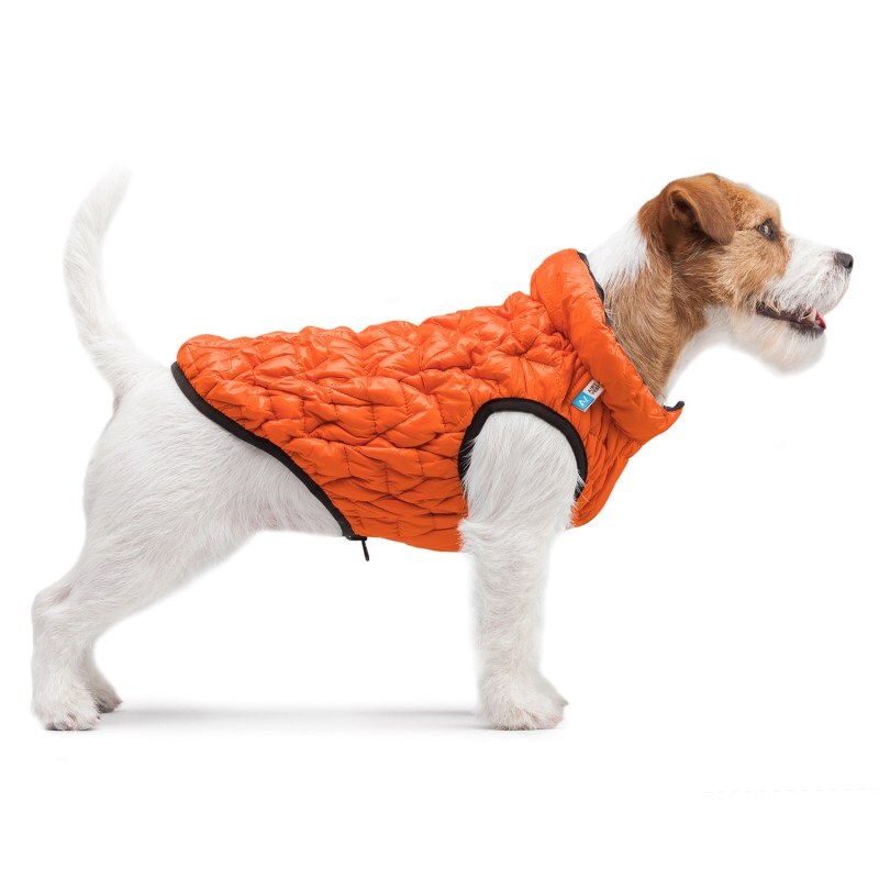 Collar (Коллар) AiryVest UNI - Двустороння еластична курточка для собак (жовтогаряча/чорна) (S33 (30-33 см)) в E-ZOO