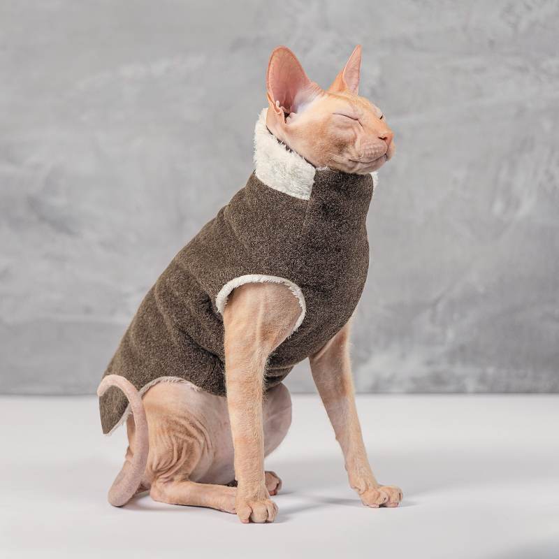 Pet Fashion (Пет Фешн) The Mood Cat - Светр для котів (коричневий) (S (27-31 см)) в E-ZOO