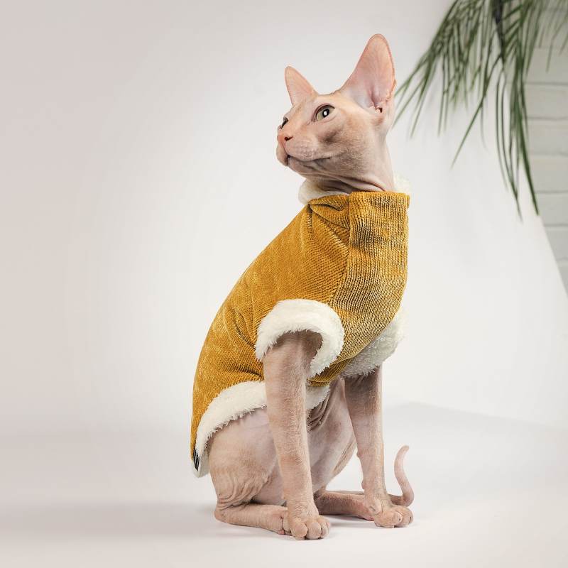 Pet Fashion (Пет Фешн) The Mood Tom - Свитер для котов (горчичный) (XS (23-27 см)) в E-ZOO