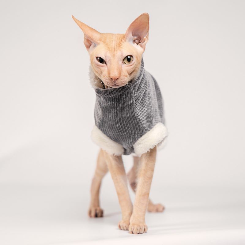 Pet Fashion (Пет Фешн) The Mood Tom - Свитер для котов (графитный) (XS (23-27 см)) в E-ZOO