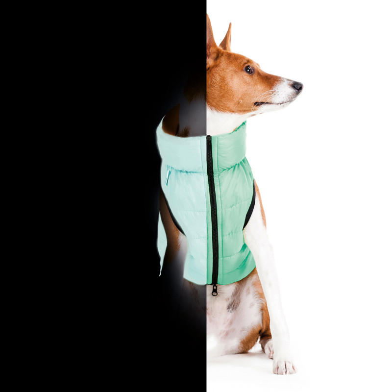 Collar (Коллар) AiryVest Lumi - Двусторонняя светящаяся в темноте курточка для собак (салатовая/голубая) (XS25 (22-25 см)) в E-ZOO