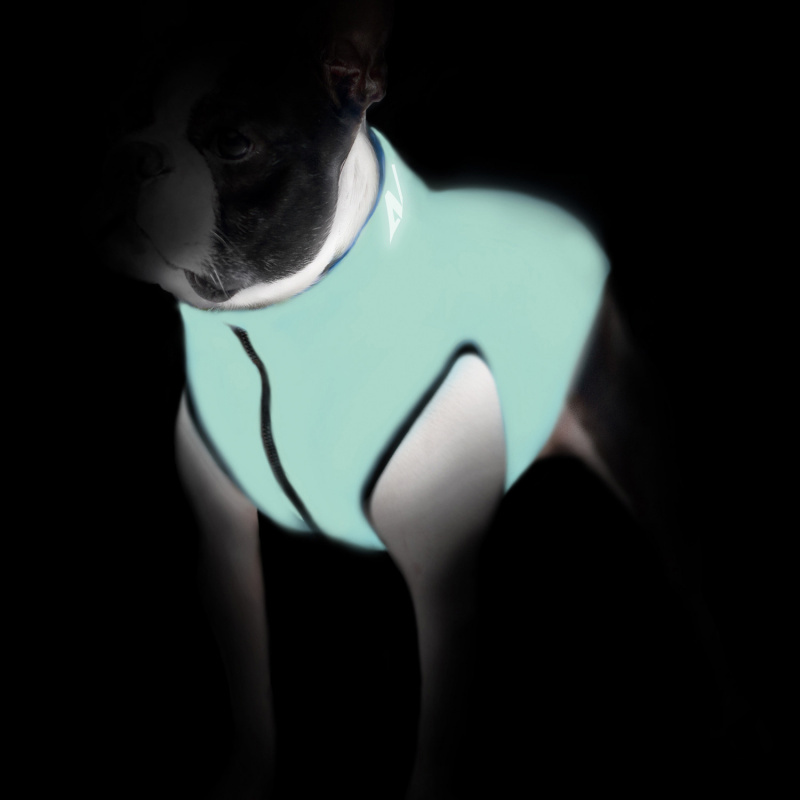 Collar (Коллар) AiryVest Lumi - Двусторонняя светящаяся в темноте курточка для собак (салатовая/оранжевая) (S30 (27-30 см)) в E-ZOO
