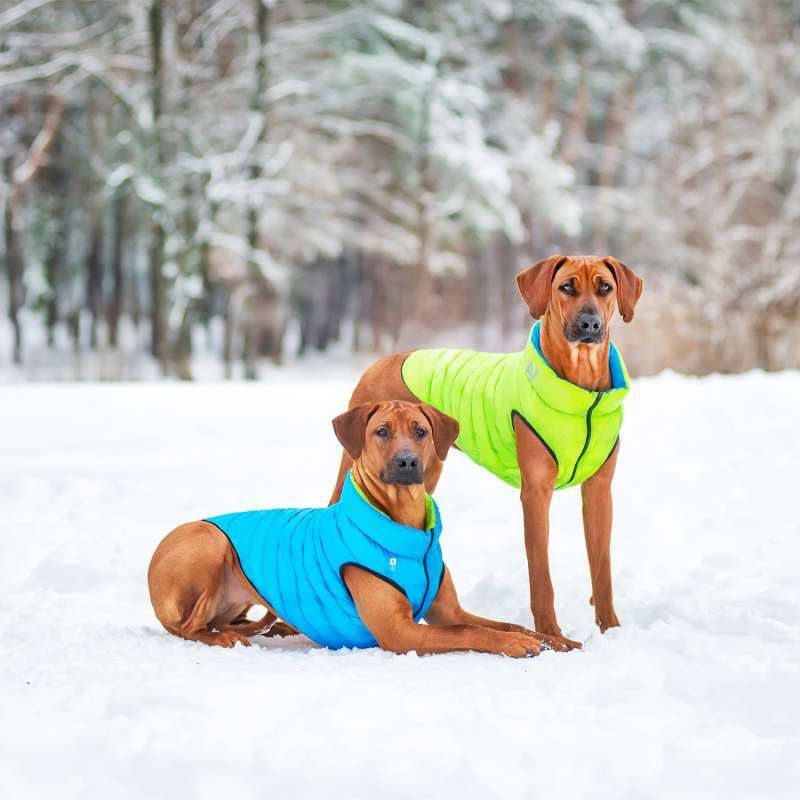 Collar (Коллар) AiryVest - Двустороння курточка для собак (салатова/блакитна) (XS22 (20-22 см)) в E-ZOO