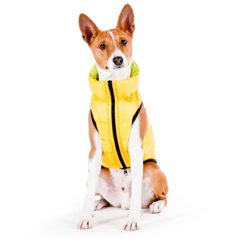 Collar (Коллар) AiryVest - Двустороння курточка для собак (жовта/салатова) (S40 (38-40 см)) в E-ZOO
