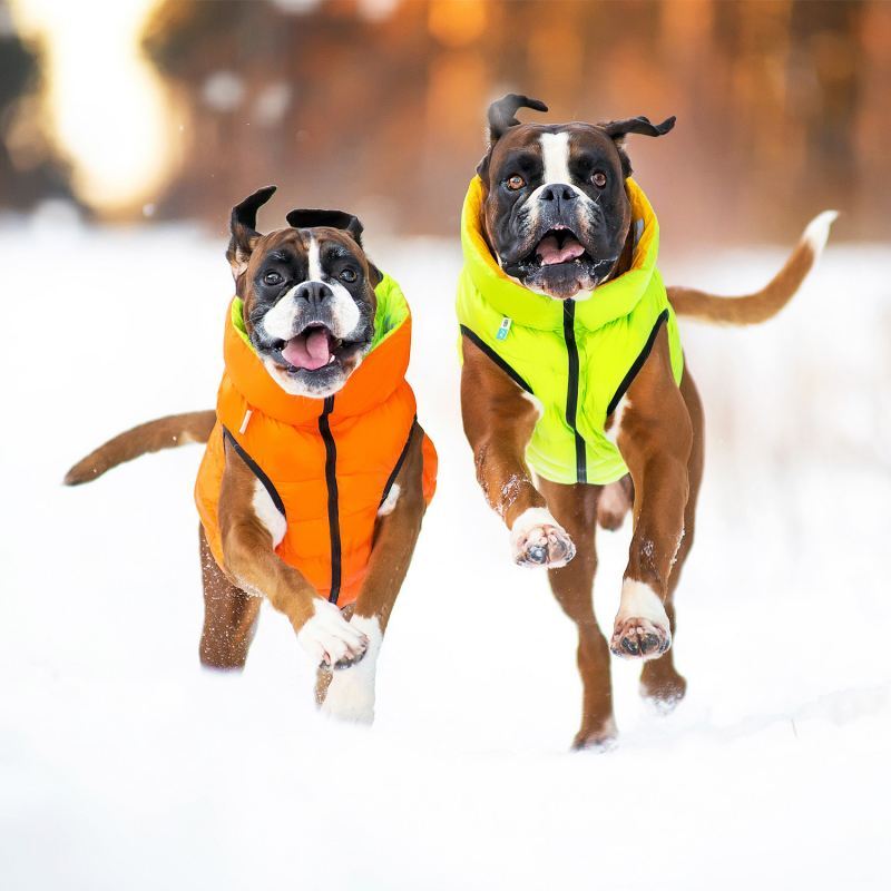 Collar (Коллар) AiryVest - Двустороння курточка для собак (помаранчева/салатова) (M45 (42-45 см)) в E-ZOO