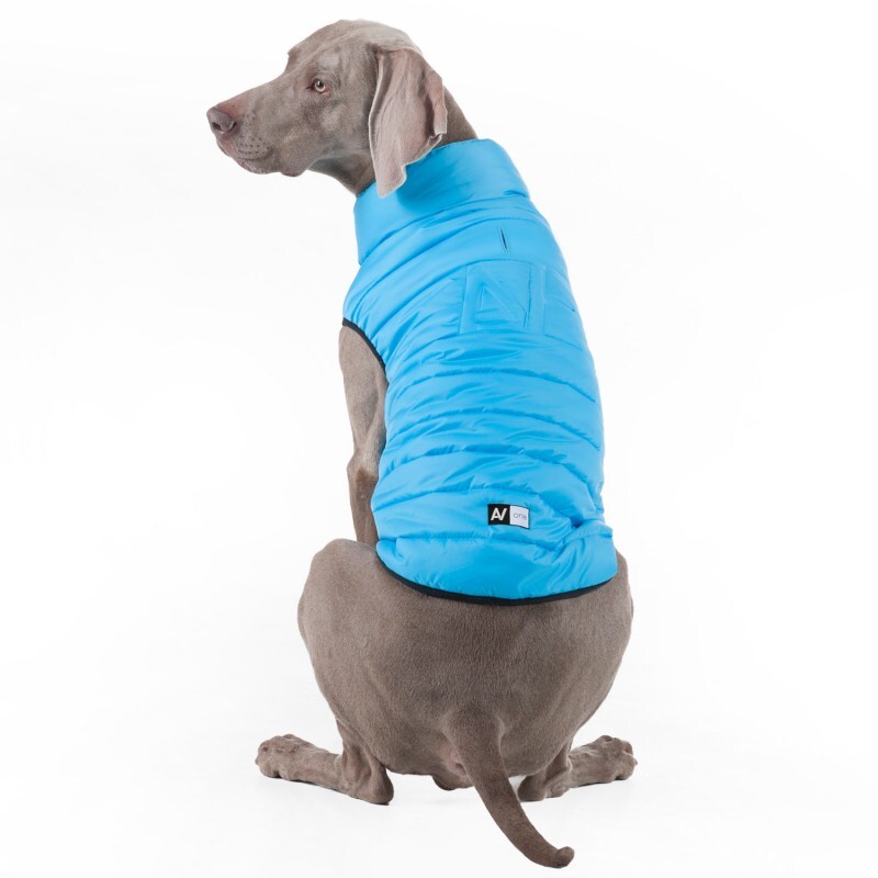 Collar (Коллар) AiryVest ONE - Одностороння курточка для собак (блакитна) (XS25 (22-25 см)) в E-ZOO