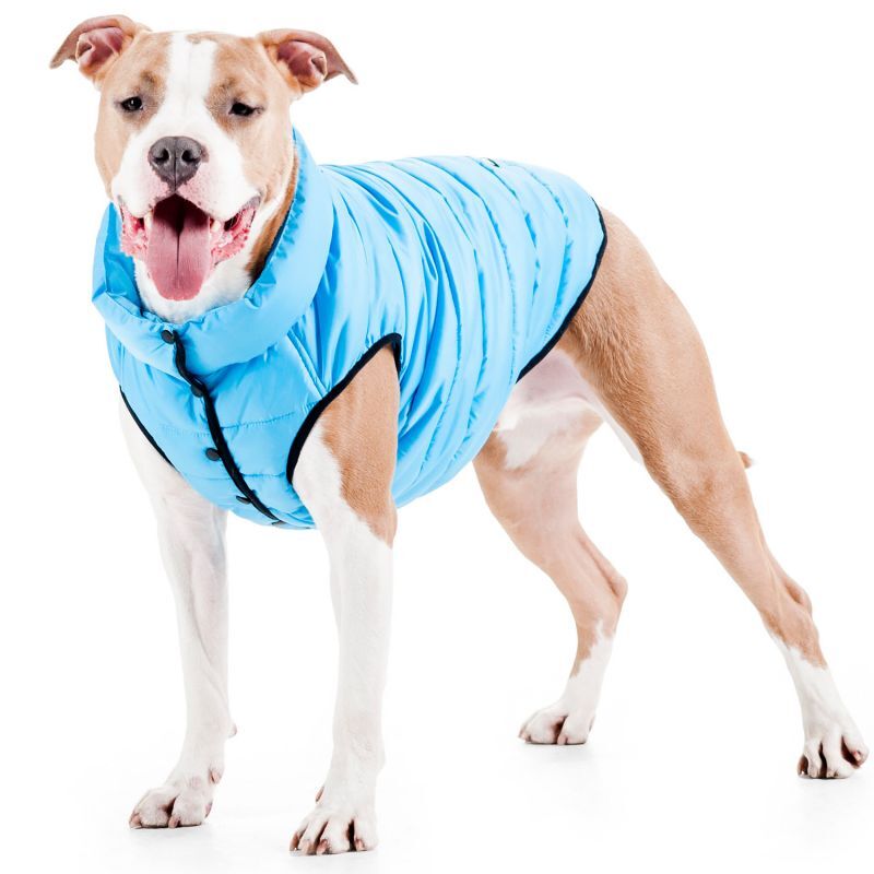 Collar (Коллар) AiryVest ONE - Односторонняя курточка для собак (голубая) (XS25 (22-25 см)) в E-ZOO