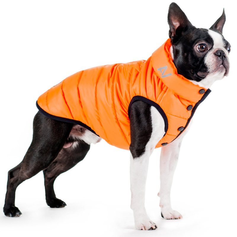 Collar (Коллар) AiryVest ONE - Одностороння курточка для собак (помаранчева) (L65 (62-65 см)) в E-ZOO