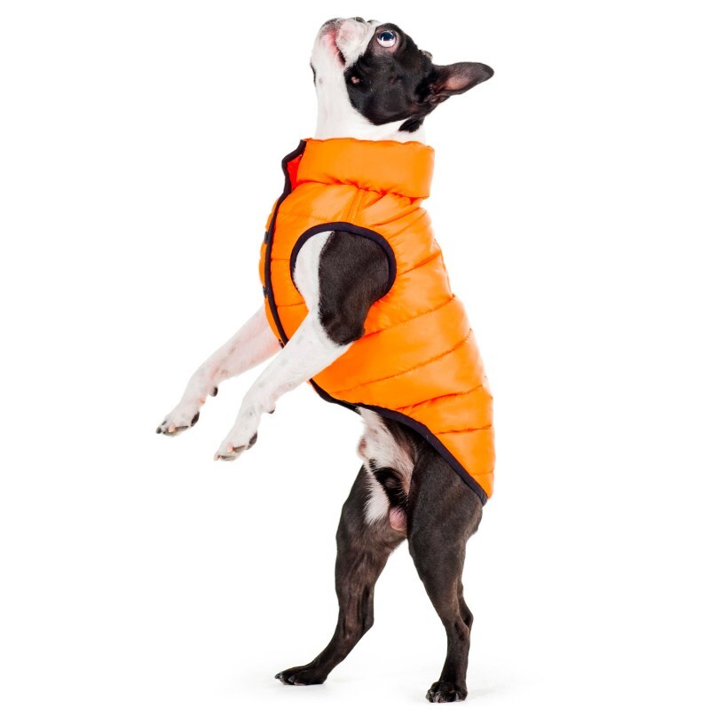 Collar (Коллар) AiryVest ONE - Односторонняя курточка для собак (оранжевая) (L65 (62-65 см)) в E-ZOO