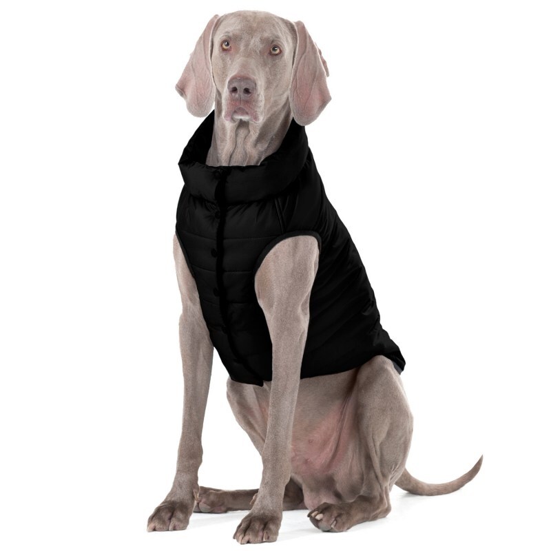 Collar (Коллар) AiryVest ONE - Одностороння курточка для собак (чорна) (XS25 (22-25 см)) в E-ZOO