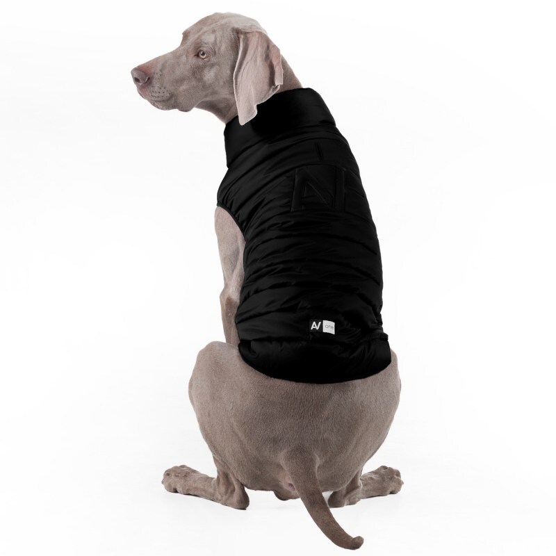 Collar (Коллар) AiryVest ONE - Одностороння курточка для собак (чорна) (XS25 (22-25 см)) в E-ZOO